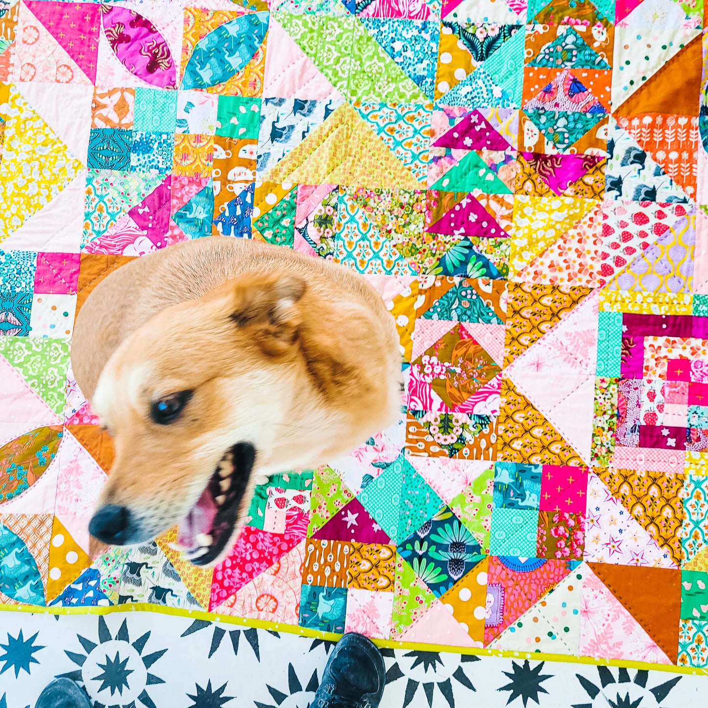 Untamed Quilt Pattern